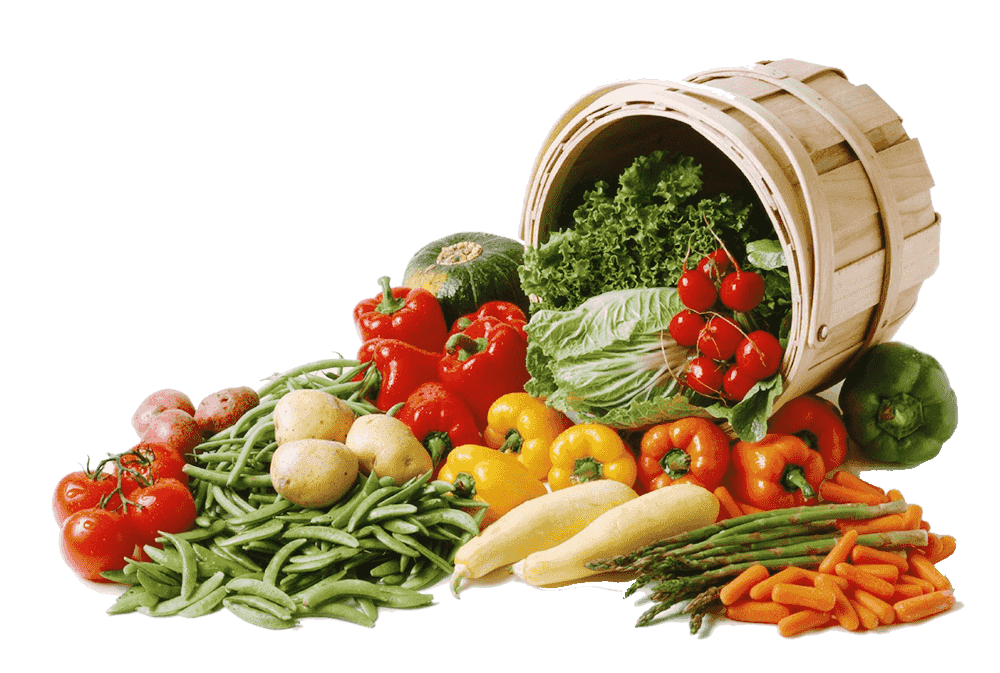 La plateforme digital pour revolutionnez l'agriculture africaines