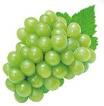 La plateforme digital pour revolutionnez l'agriculture africaines