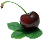 La plateforme digital pour revolutionnez l'agriculture africaines